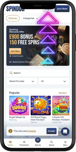 Spindog Casino sign-in panel