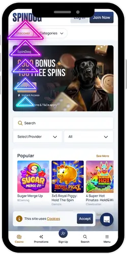 Spindog Casino platform